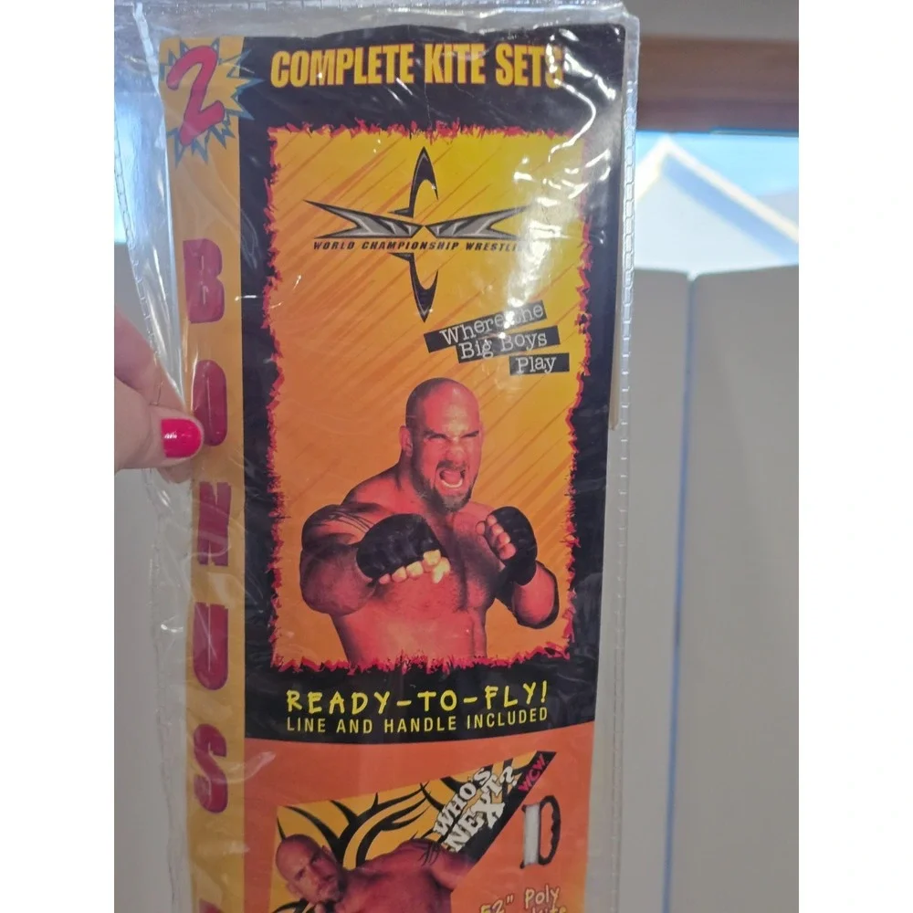 Vtg 90s WCW Marvel Spectra Star Pop Box  Kite 29